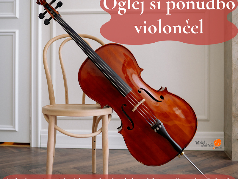 Velika izbira violončel na zalogi
